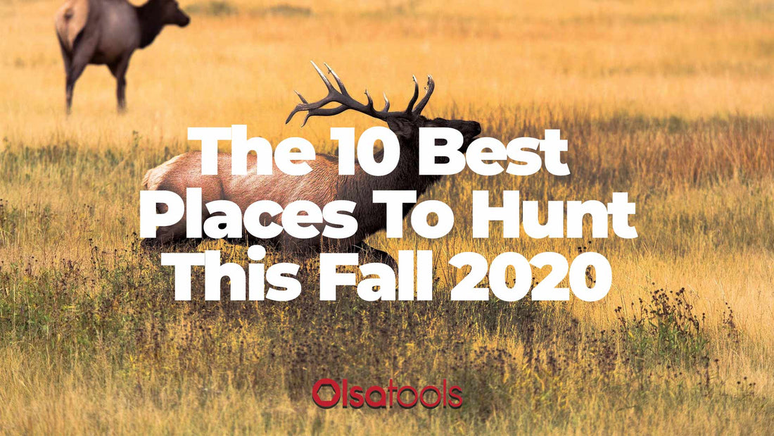 The 10 Best Places To Hunt This Fall 2020